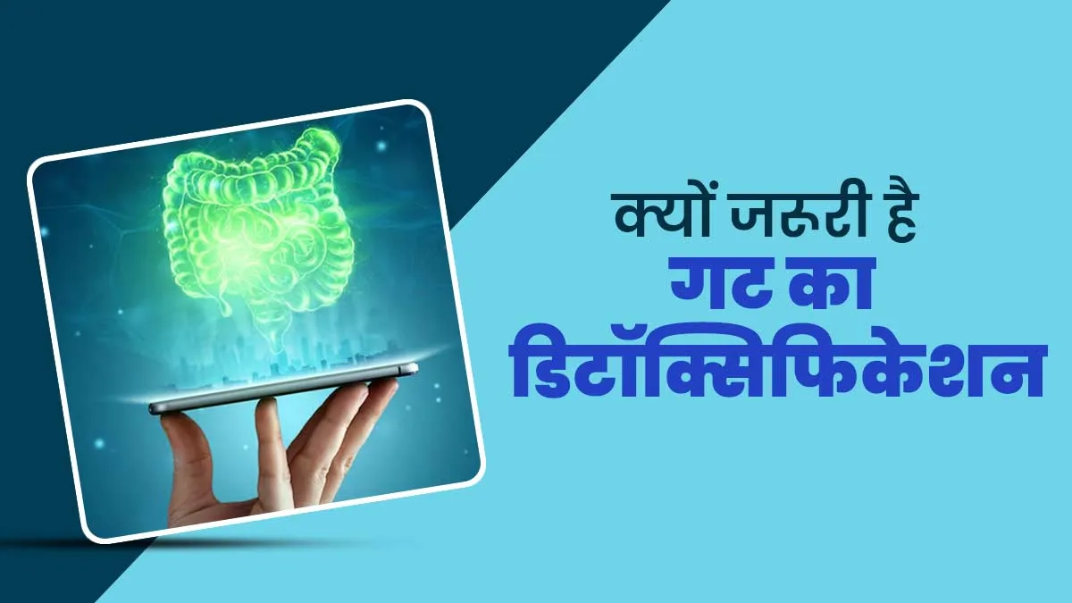 क्यों जरूरी है गट का डिटॉक्सिफिकेशन? जानें इसे घर पर करने का सही तरीका