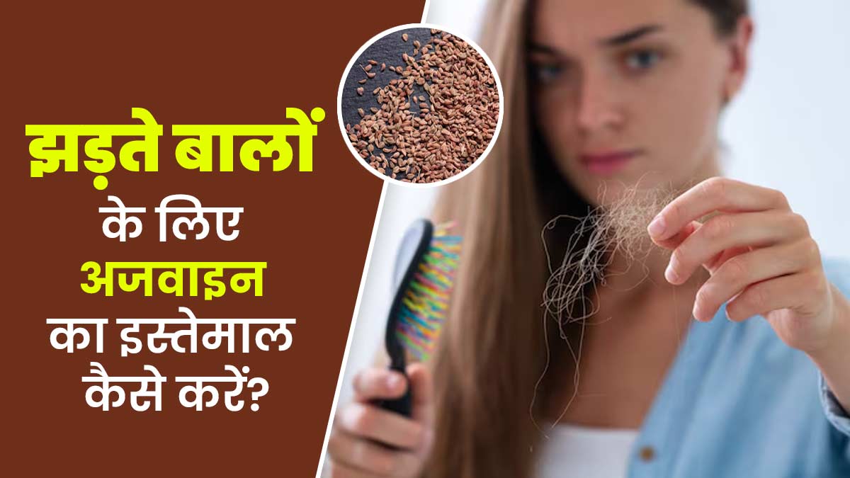क्या अजवाइन से बालों का गिरना रोका जा सकता है? एक्सपर्ट से जानें कैसे करें इस्तेमाल