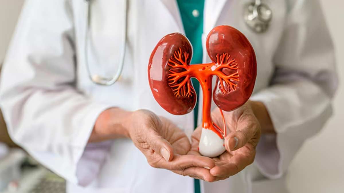 रात को ही नजर आते हैं किडनी खराब होने के ये 5 लक्षण | Night time Symptoms Of Kidney Damage Night-time-Symptoms-Of-Kidney-Damage-inside2