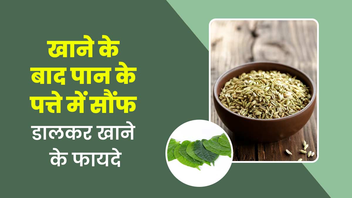 खाने के बाद पान के पत्ते में सौंफ डालकर खाएं, सेहत को मिलेंगे ये 5 गजब के फायदे