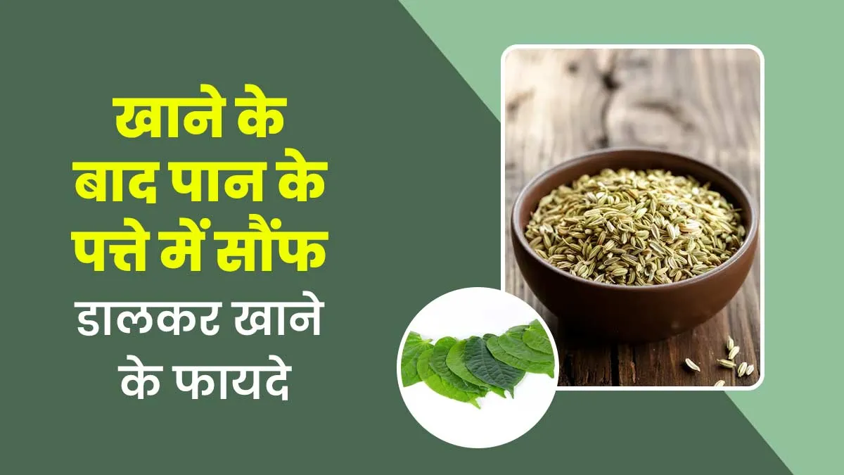 खाने के बाद पान के पत्ते में सौंफ डालकर खाएं, सेहत को मिलेंगे ये 5 गजब के फायदे