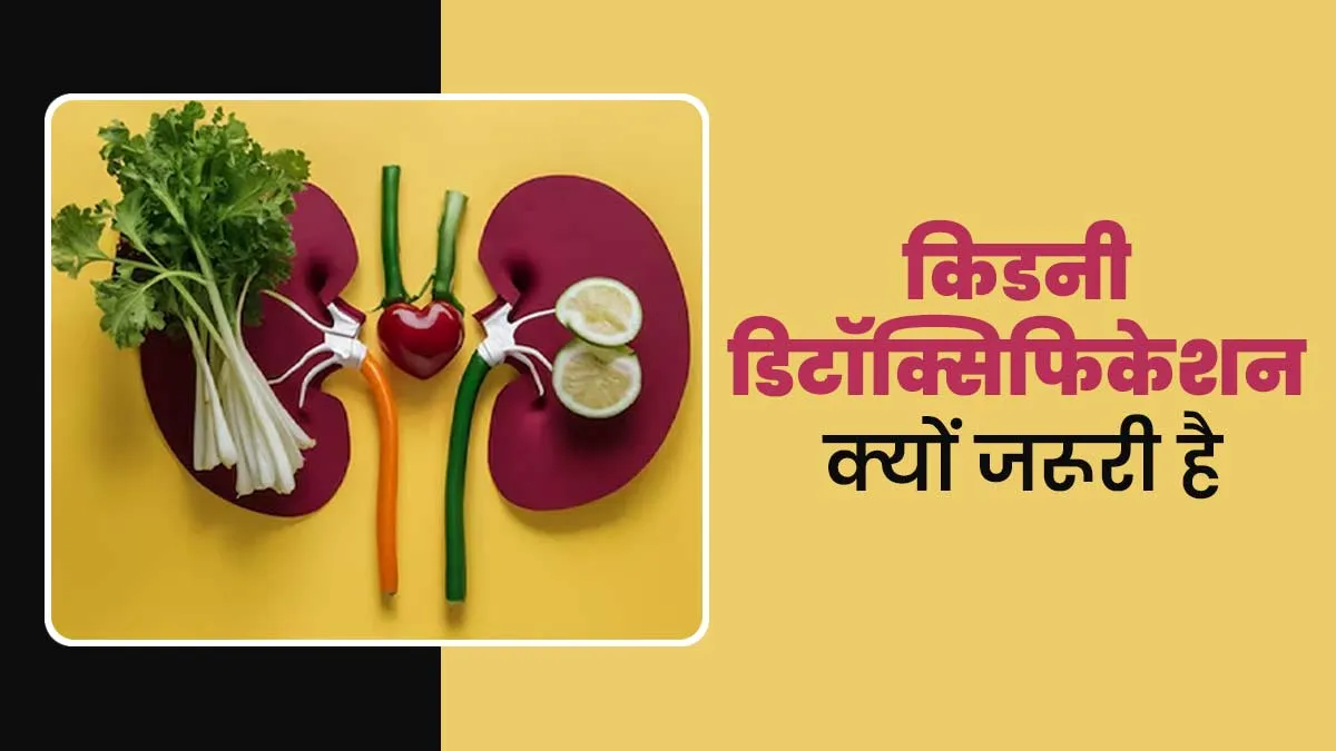 सेहत के लिए बहुत फायदेमंद है किडनी डिटॉक्सिफिकेशन, बीमारियां रहती हैं कोसों दूर