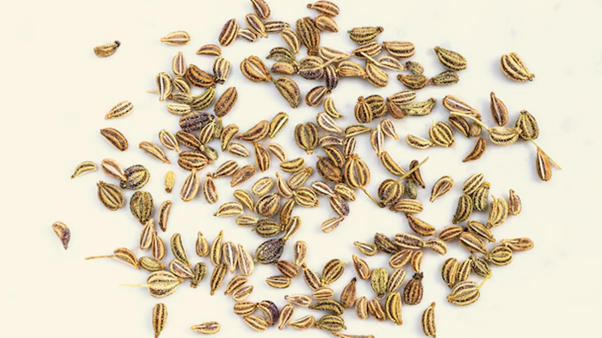 benefits of Celery Oil for skin