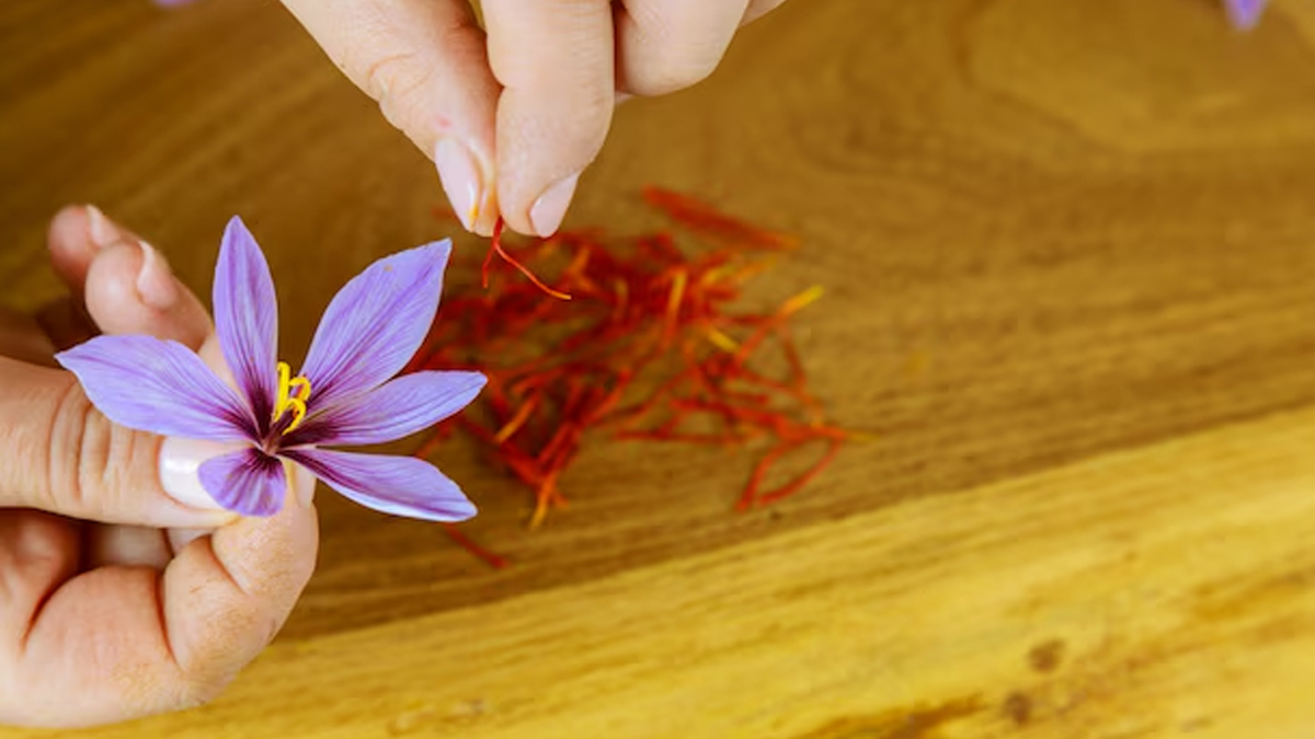 Saffron Increase Testosterone