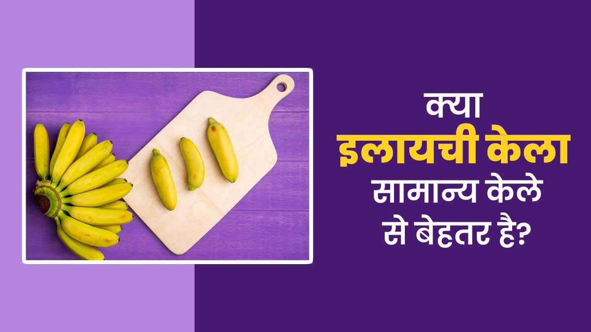 क्या इलायची केला सामान्य केले से बेहतर है? एक्सपर्ट से जानें फायदे और अंतर
