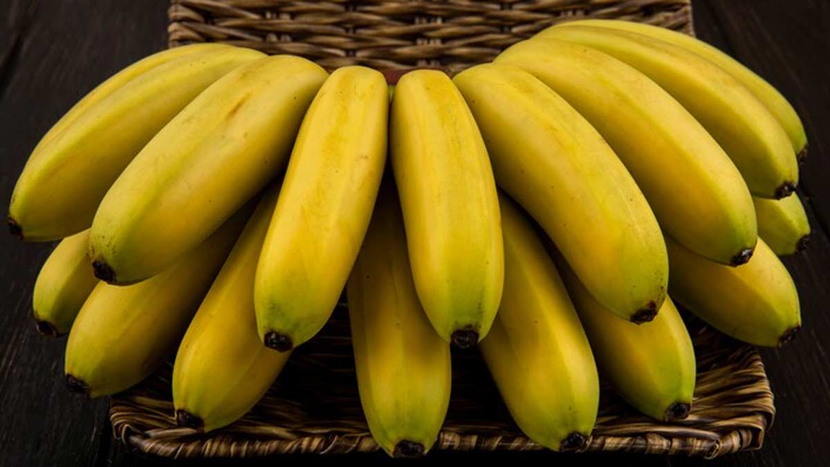Elaichi banana vs normal banana