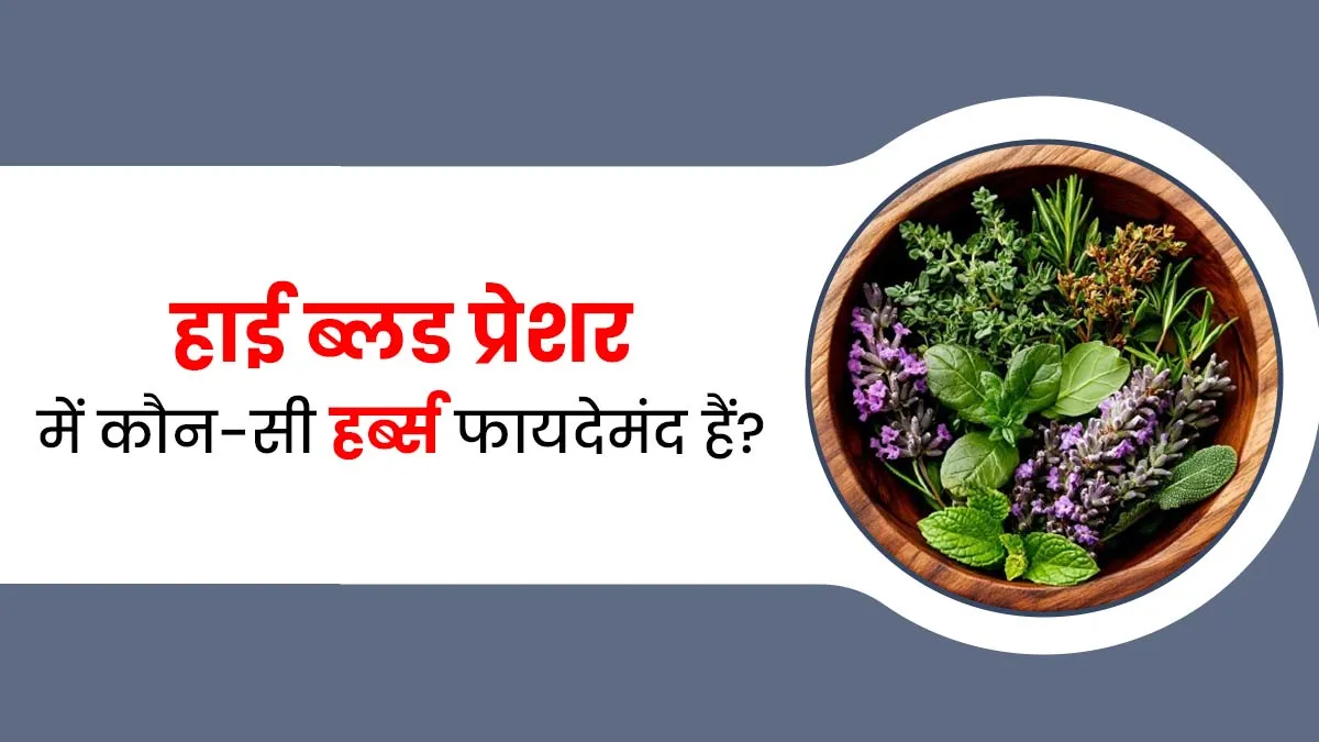 हाई ब्लड प्रेशर कंट्रोल कर सकती हैं ये 5 जड़ी-बूटियां, आयुर्वेदाचार्य से जानें इस्तेमाल का तरीका