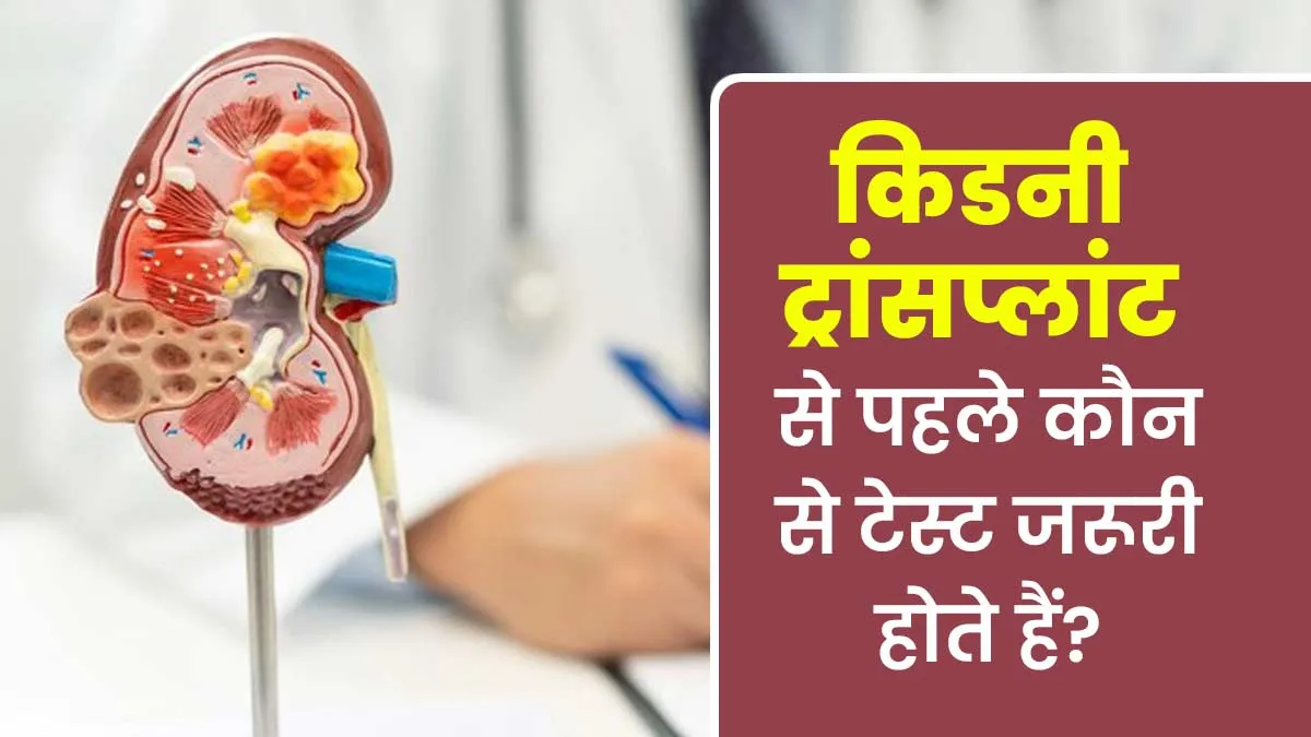 किडनी ट्रांसप्लांट से पहले कौन-कौन से टेस्ट जरूरी होते हैं? डॉक्टर से जानें