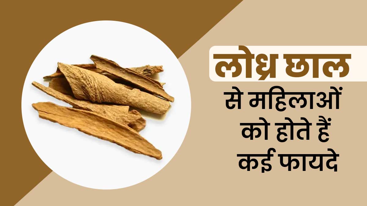 लोध्र छाल से महिलाओं को मिलते हैं कई लाभ, एक्सपर्ट से जानें इस्तेमाल का तरीका