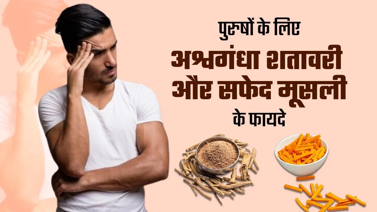 अश्वगंधा, शतावरी और सफेद मूसली खाने से पुरुषों को मिलते हैं ये 5 जबरदस्त फायदे, डॉक्टर से जानें