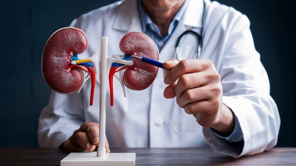 Tests Before Kidney Transplant
