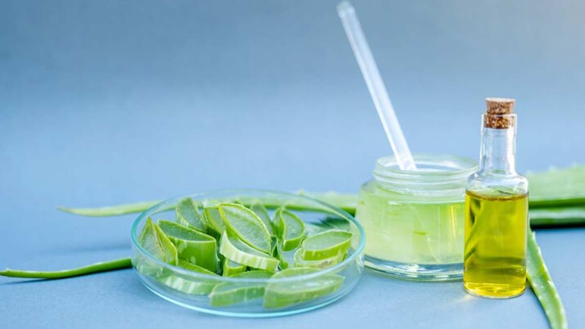 benefits-of-aloe-vera-olive-oil-to-get-rid-darkunderarms-in