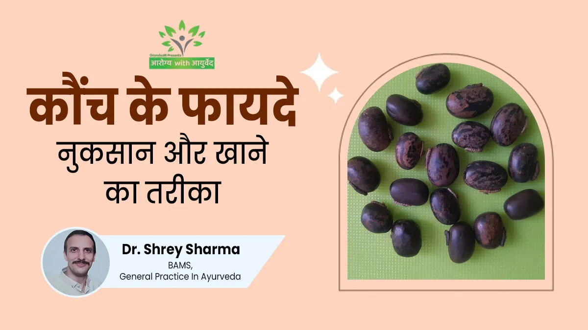 कौंच के बीज: खाने के फायदे, नुकसान, सही तरीका और अन्य जरूरी बातें जानें आयुर्वेदाचार्य से