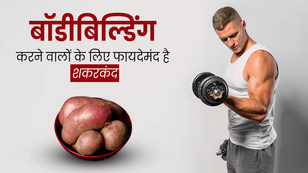 बॉडीबिल्डिंग कर रहे हैं तो जरूर खाएं शकरकंद, जानें इसे खाने के फायदे और सही समय