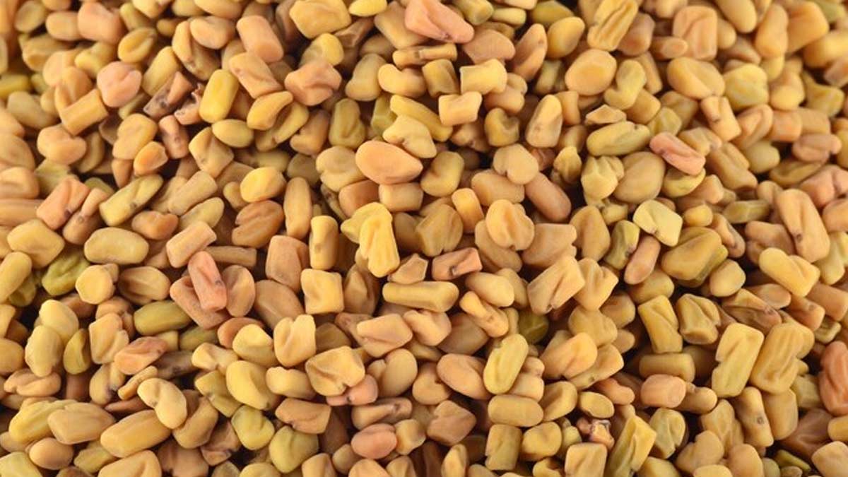 Foods for Healthy Hair Growth