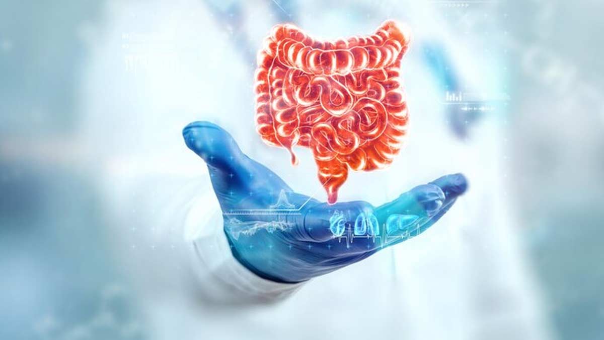 healthy gut