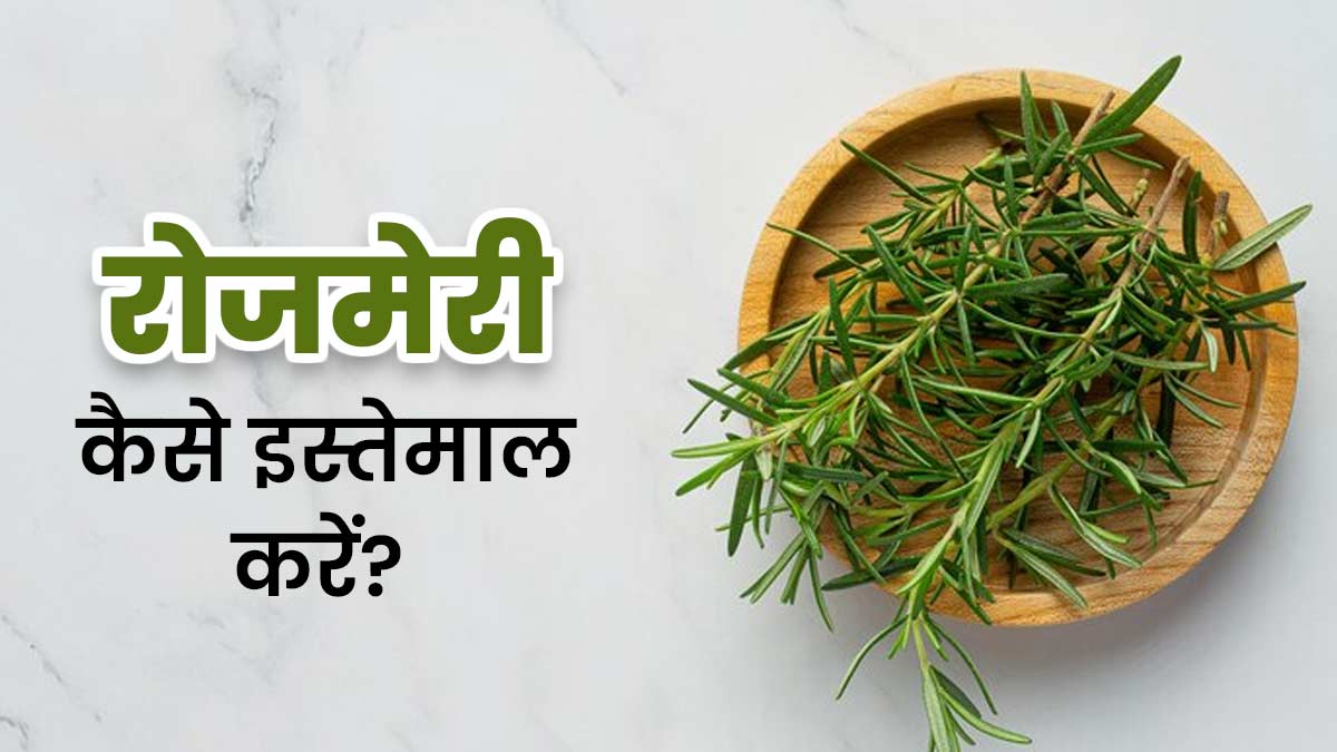 रोजमेरी को इन 5 तरीकों से डेली लाइफस्टाइल में करें शामिल, मिलेंगे कई फायदे