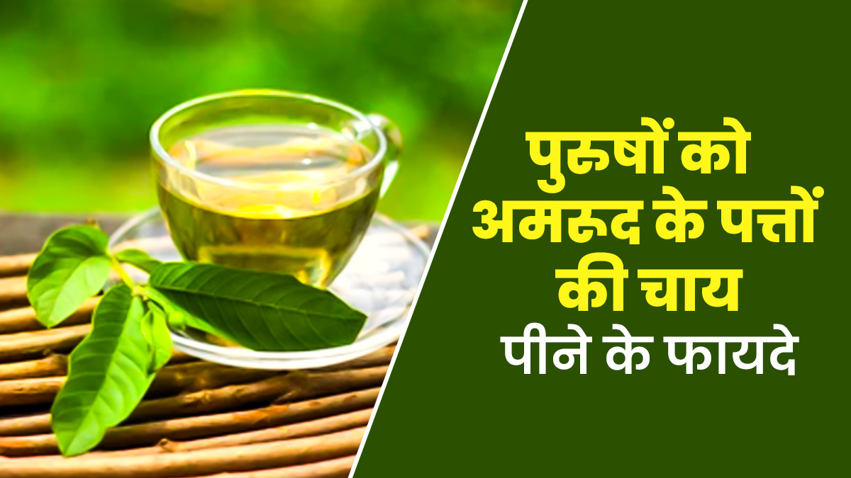 अमरूद के पत्तों की चाय पुरुषों के लिए है फायदेमंद, प्रोस्टेट से भी होता है बचाव