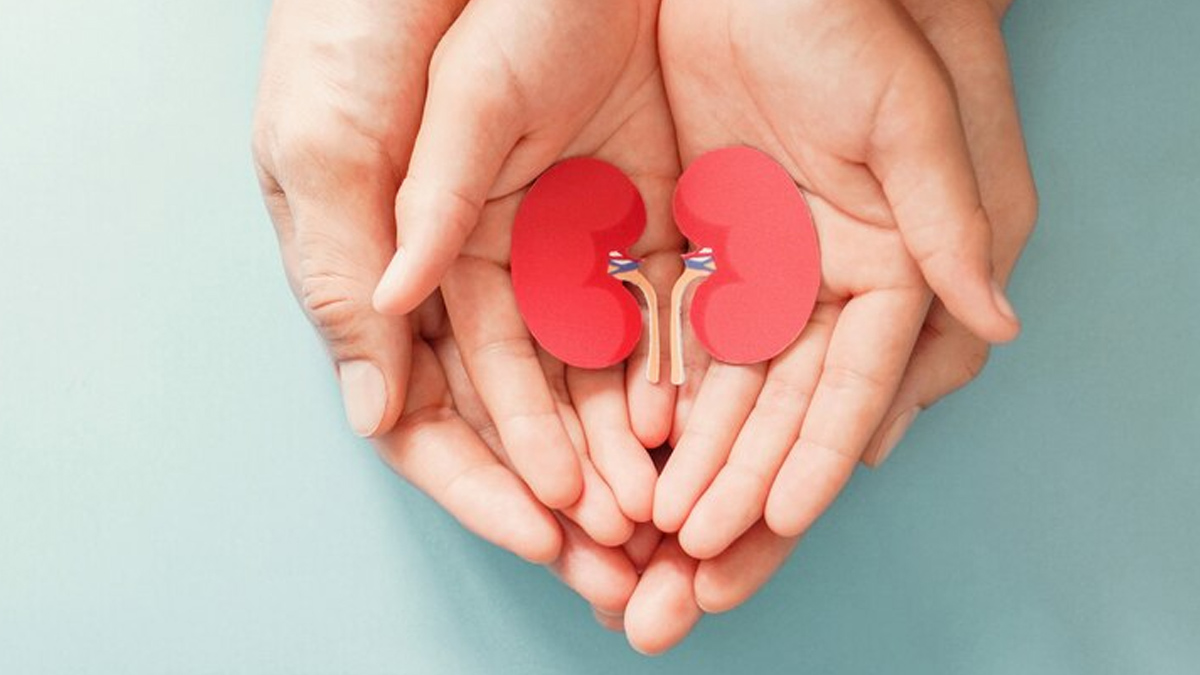 Kidney and potassium