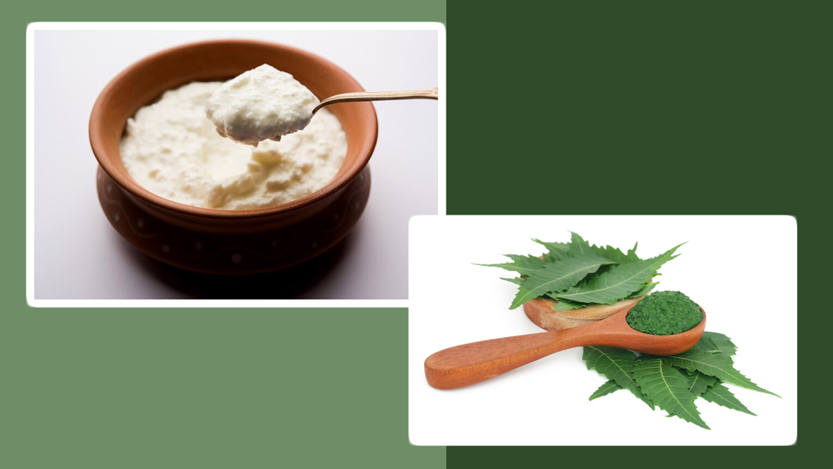 ayurvedic hair mask to get relief from dandruff problem in hindi 01