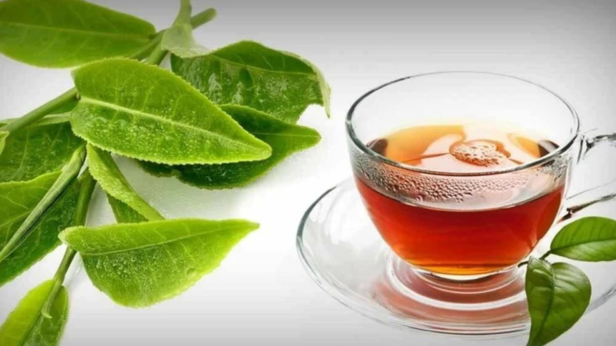 is guava leaves tea good for the prostate in hindi 01