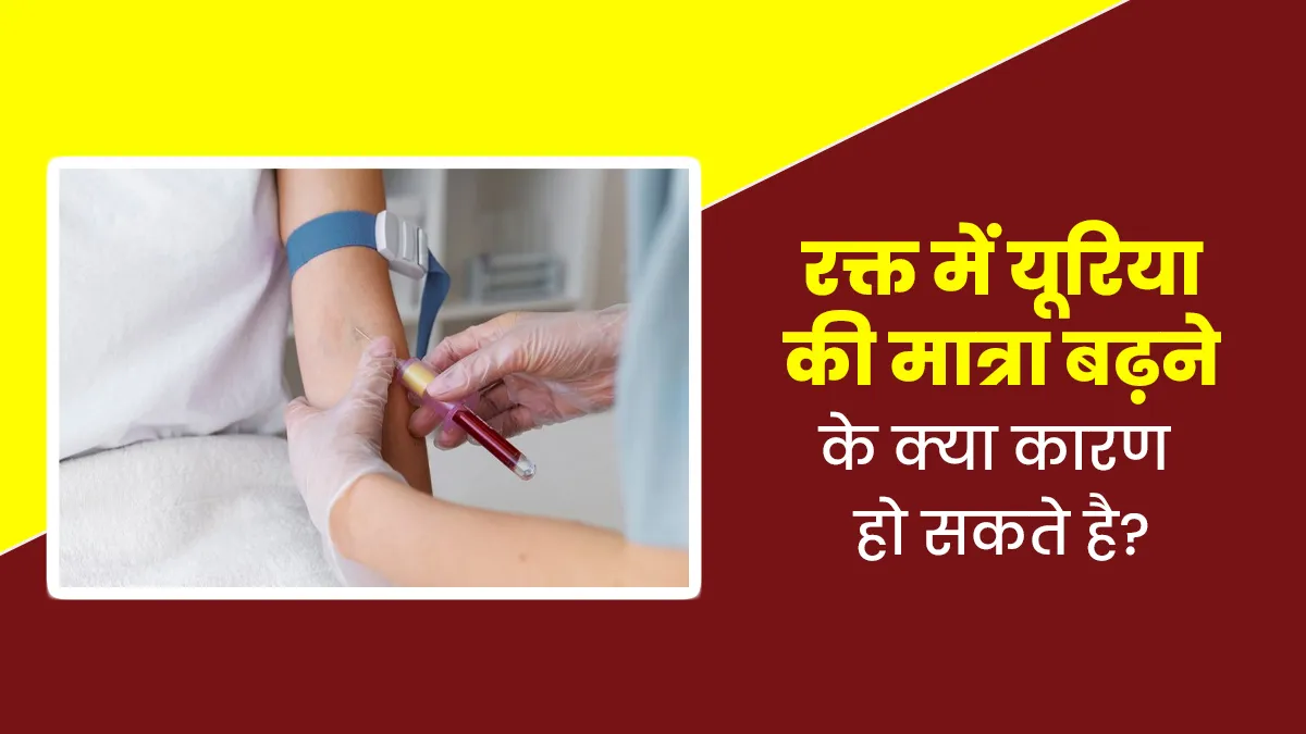 खून में यूरिया की मात्रा बढ़ने के क्या कारण हो सकते है? डॉक्टर से जानें इसके जोखिम