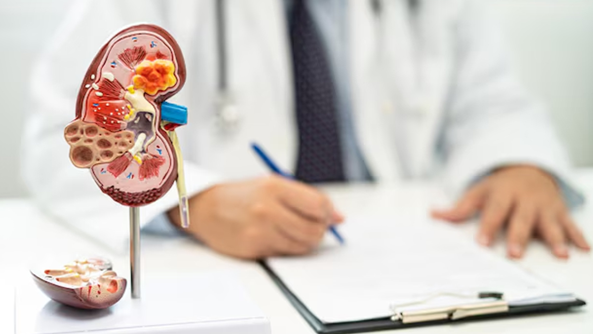 are diabetics more prone to kidney infections 1 (1)