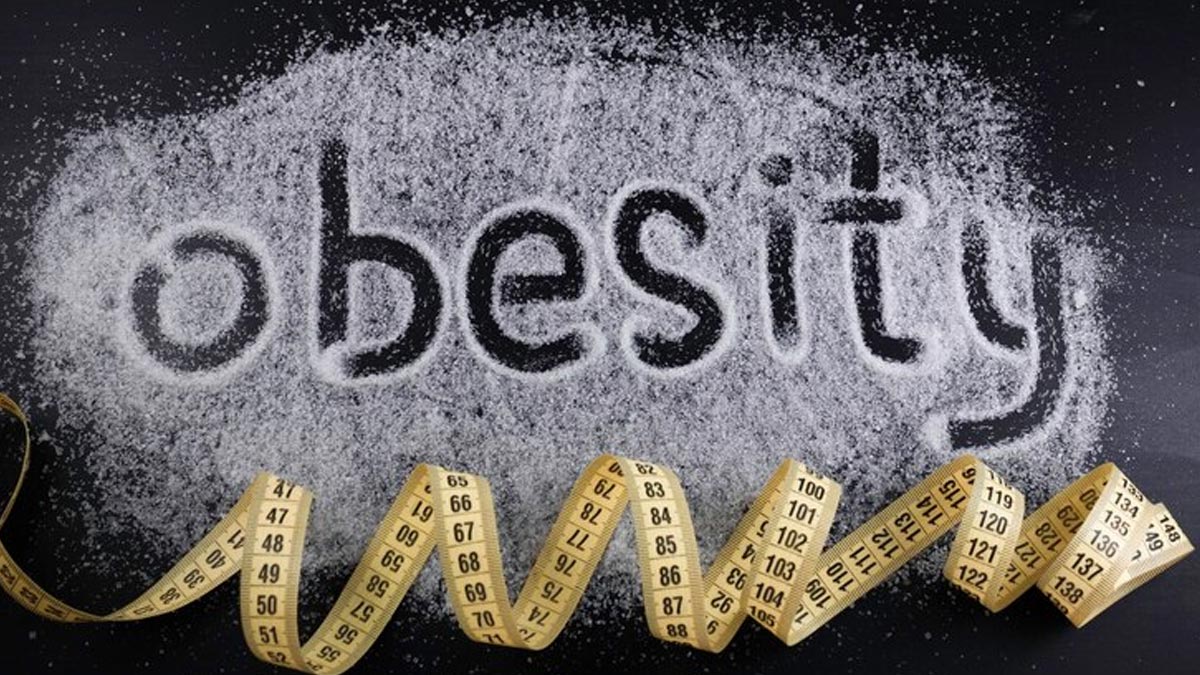 Major causes of obesity