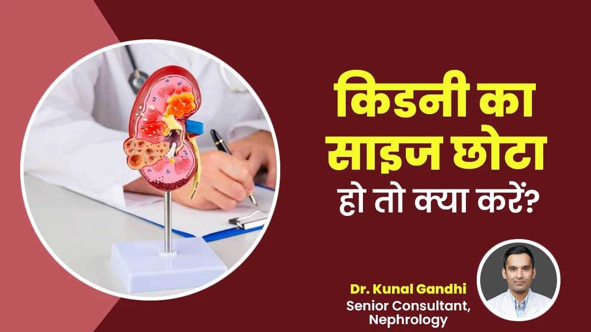 किडनी का साइज छोटा हो तो क्या करें? डॉक्टर से जानें डाइट और लाइफस्टाइल के टिप्स