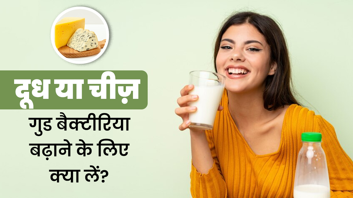 दूध या चीज़, पेट में गुड बैक्टीरिया बढ़ाने के लिए क्या लें? एक्सपर्ट से जानें