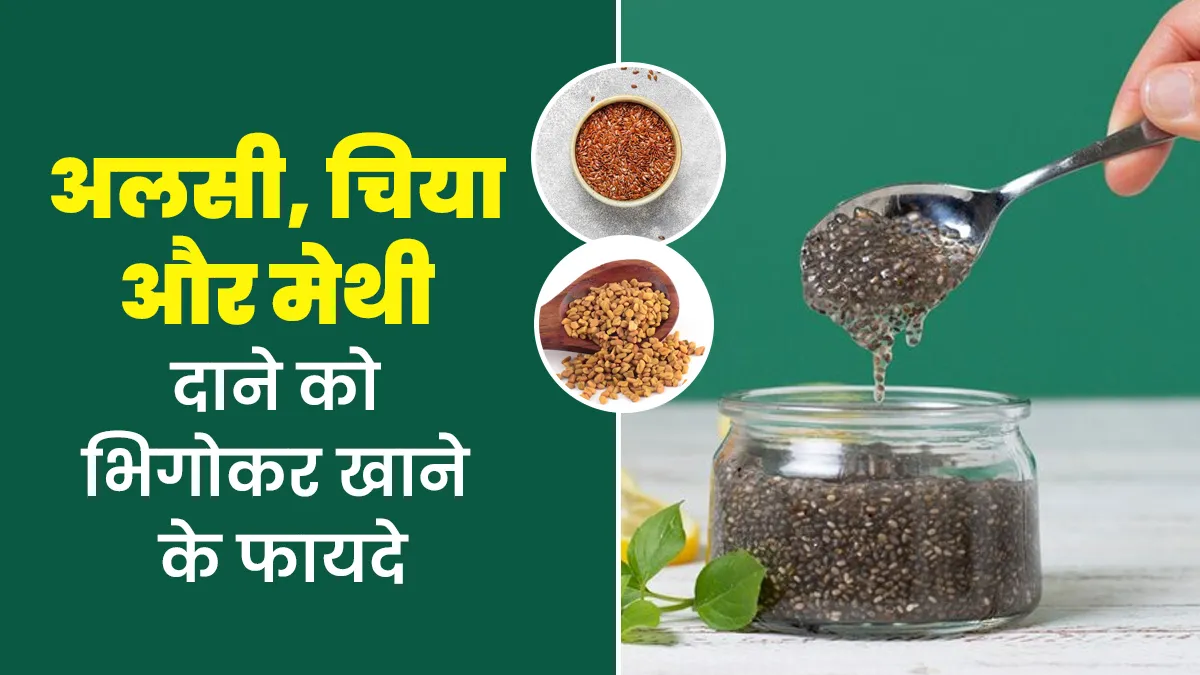 अलसी, चिया और मेथी के बीजों को भिगोकर खाने से मिलते हैं सेहत को खास फायदे, एक्सपर्ट से जानें इनके बारे में