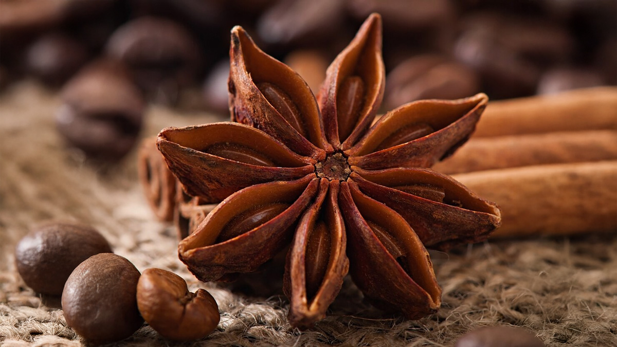 चक्रफूल को डाइट में किस तरह से शामिल करना चाहिए | How to Incorporate Star Anise into Your Daily Diet | Chakarful kaise khaye How-to-Incorporate-Star-Anise-into-Your-Daily-Diet-inside2