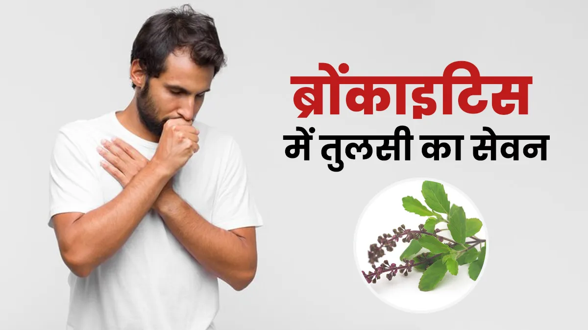 क्या ब्रोंकाइटिस की समस्या में तुलसी का सेवन फायदेमंद है? एक्सपर्ट से जानें कब, कितना और कैसे करें सेवन