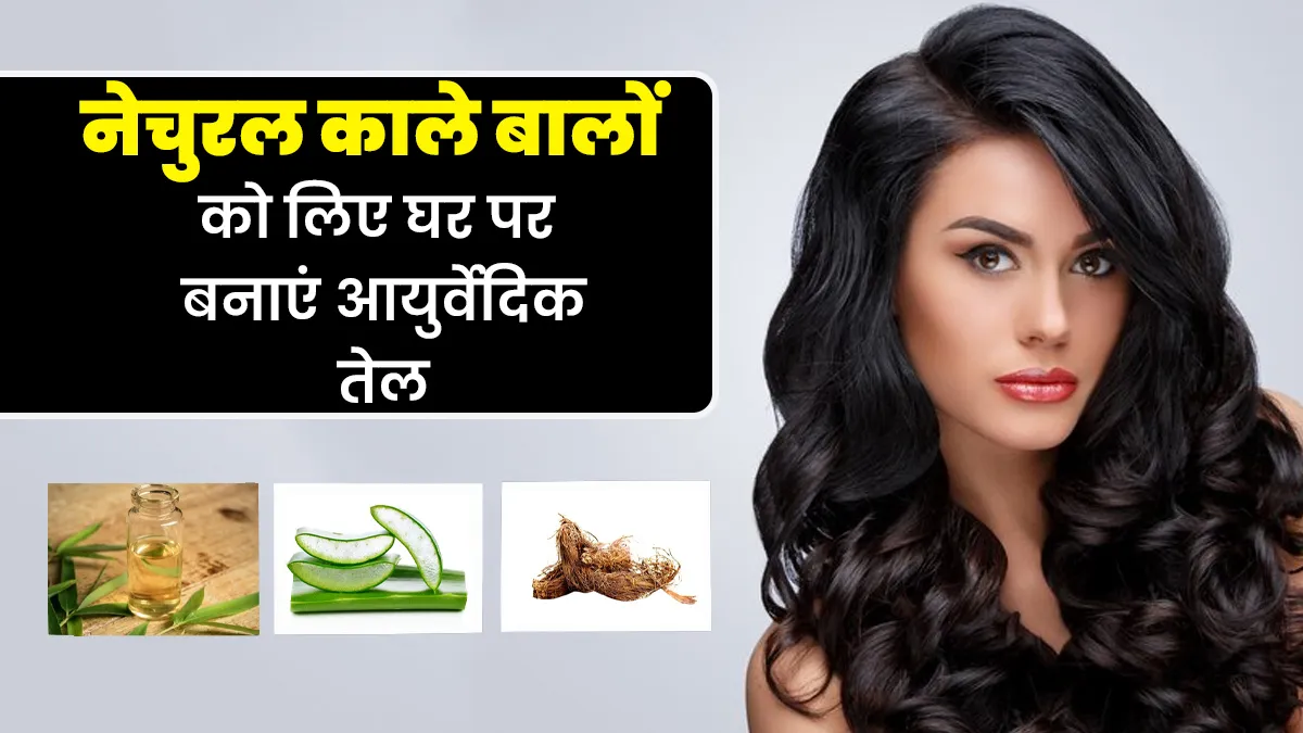 सफेद बालों से परेशान हैं? नेचुरल काले बालों के लिए घर पर बनाएं एलोवेरा, ग्रीन टी और जटामांसी का तेल