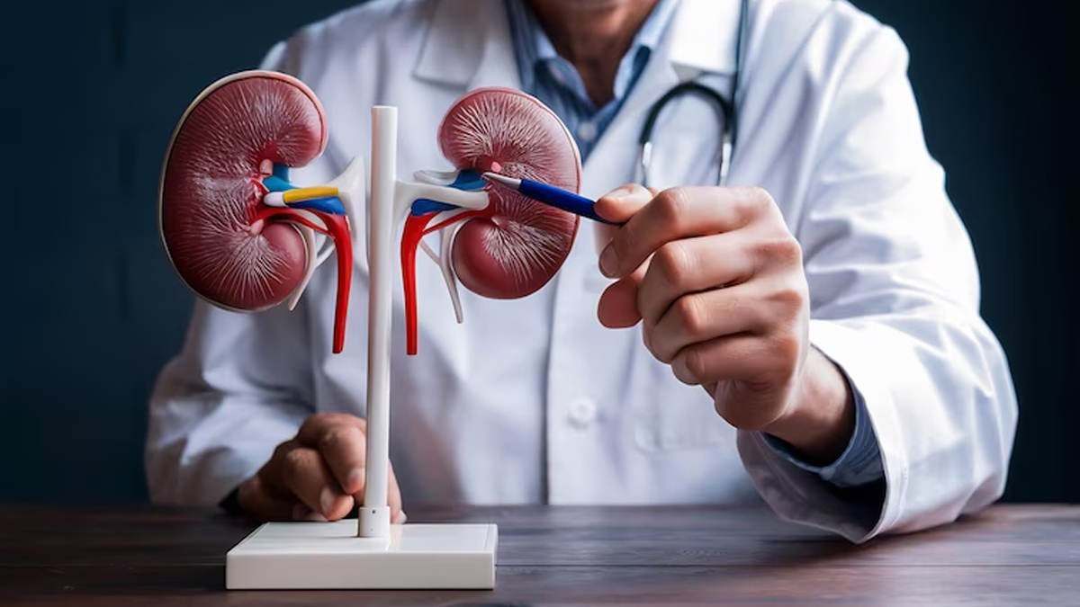 back pain after kidney removal 01 (3)