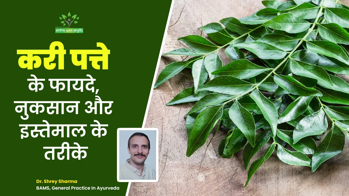 औषधीय गुणों से भरपूर हैं करी पत्ते, जानें इसकी तासीर और फायदे-नुकसान
