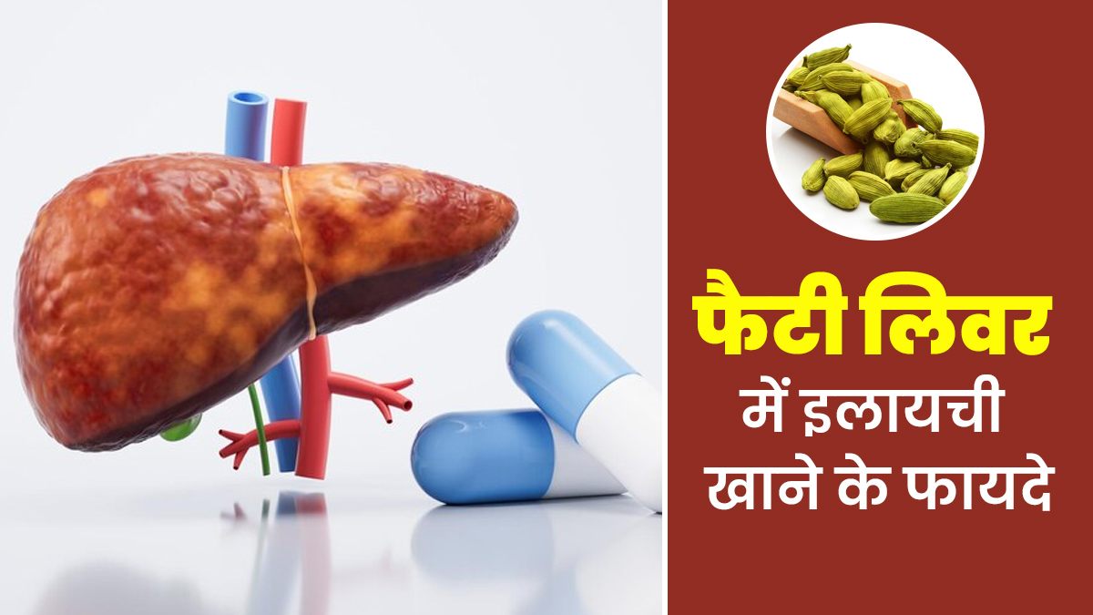 इलायची लिवर को साफ कर सकती है? एक्सपर्ट से जानें नॉन अल्कोहलिक फैटी लिवर में इसके फायदे
