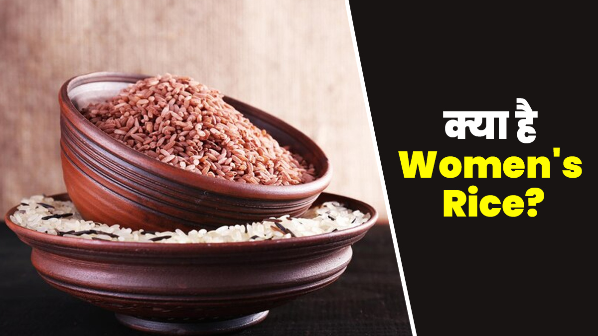 पूंगर चावल को क्यों कहा जाता है Women's Rice, जानें महिलाओं के लिए इस चावल को खाने के खास फायदे