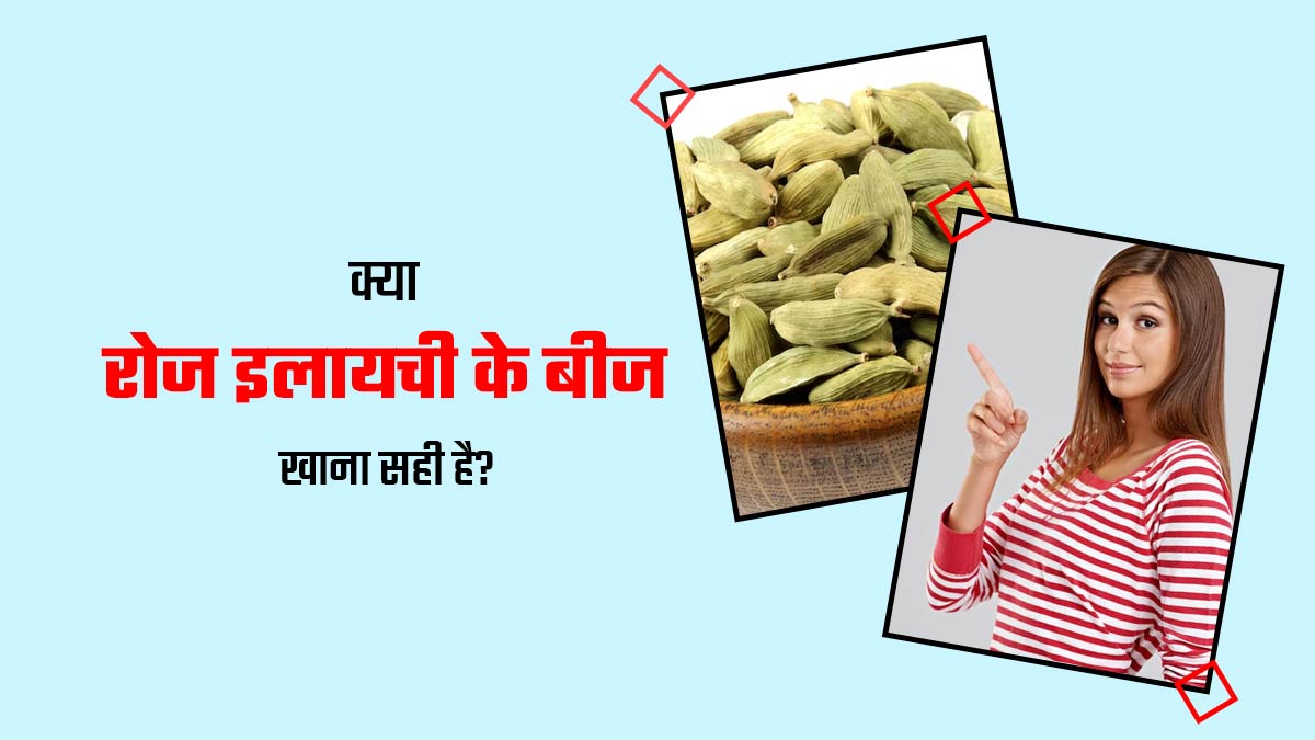 रोज इलायची चबाने की है आदत? एक्सपर्ट से जानें ये सेफ है या नहीं