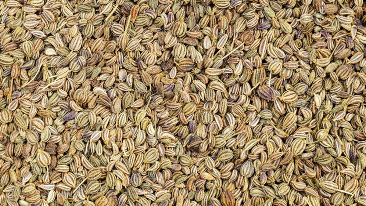 Pet Mein Gas Banne Par Kya Khana Chahiye