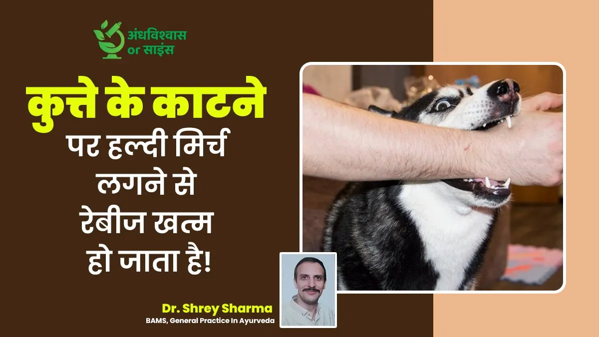 क्या सच में कुत्ते के काटने पर हल्दी मिर्च लगने से रेबीज खत्म हो जाता है? जानें क्या है सच्चाई