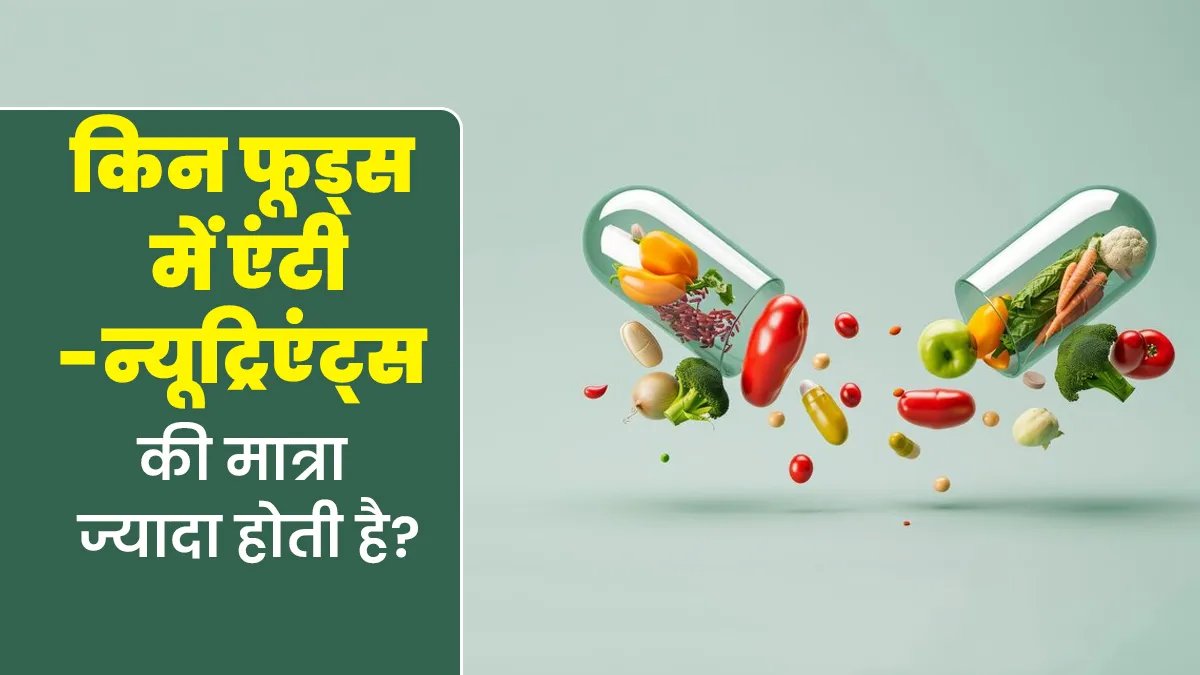 किन फूड्स में एंटी-न्यूट्रिएंट्स की मात्रा ज्यादा होती है? एक्सपर्ट से जानें इसे कम करने के तरीके