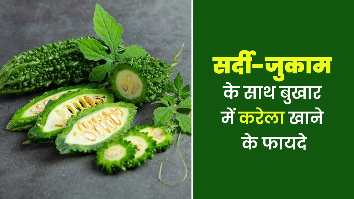 सर्दी-जुकाम के साथ हो रहा है बुखार तो डाइट में इस तरह शामिल करें करेला, मिलेगा आराम