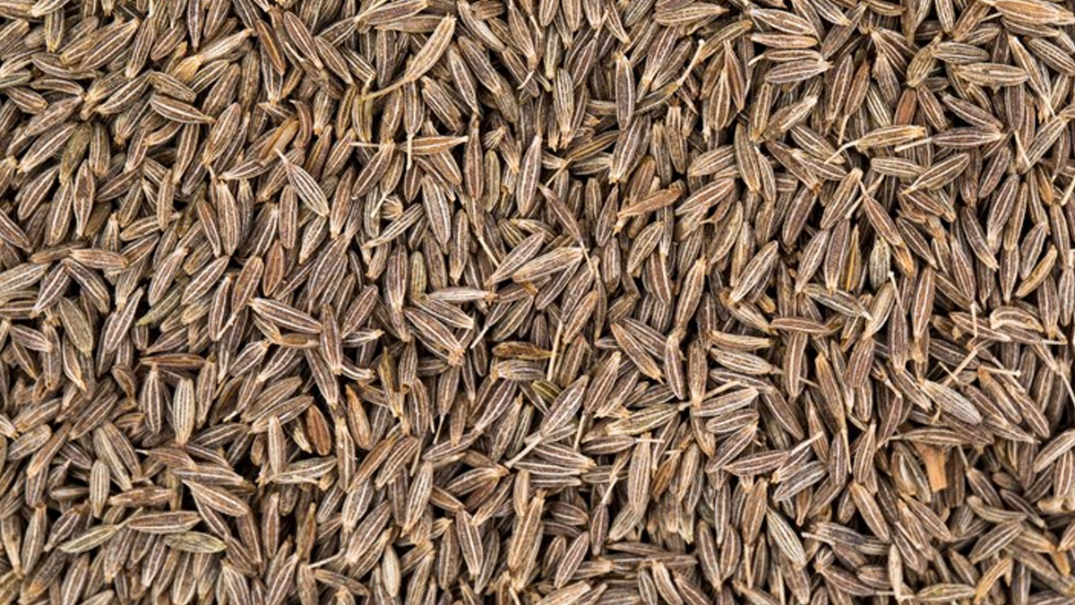 who should not drink cumin water