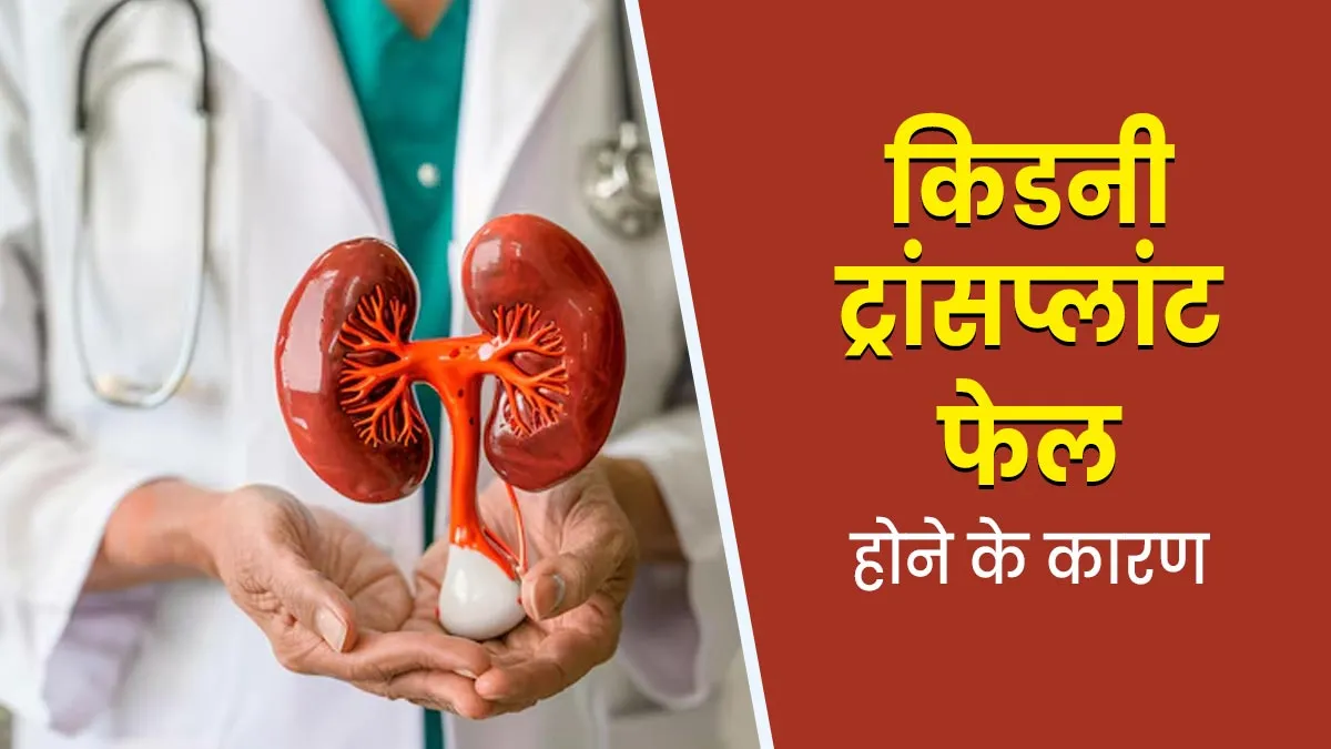 किडनी ट्रांसप्लांट फेल होने के क्या कारण हो सकते हैं? डॉक्टर से जानें