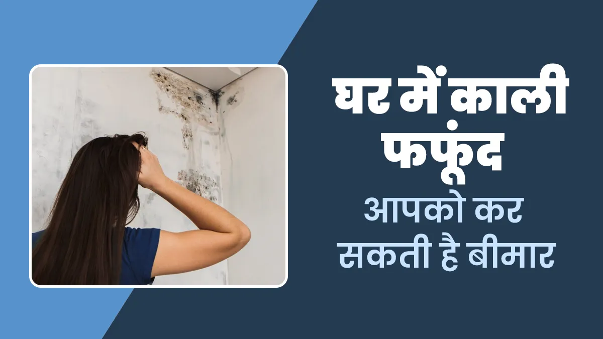 घर में काली फफूंद से बढ़ सकता है बीमारियों का खतरा, दिखें ये 5 लक्षण तो हो जाएं सतर्क