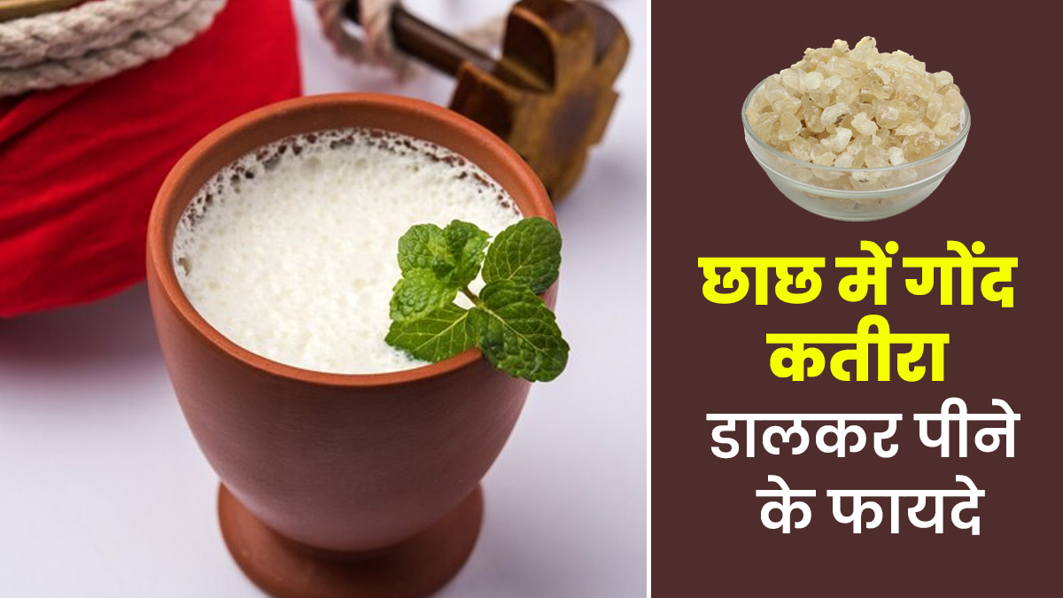 छाछ में गोंद कतीरा डालकर पीने से सेहत को क्या फायदे मिल सकते हैं? एक्सपर्ट से जानें