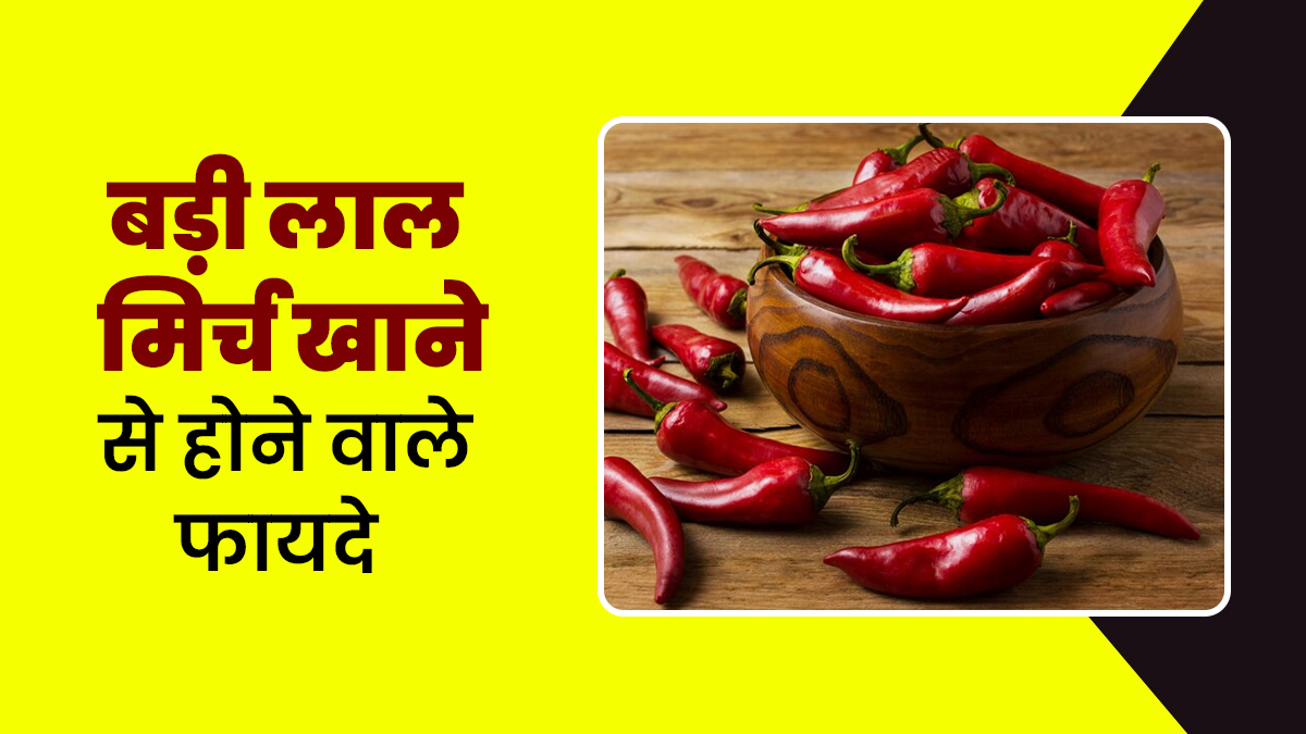 बड़ी लाल मिर्च खाने से शरीर को होते हैं ढेरों फायदे, एक्सपर्ट से जानें लाभ