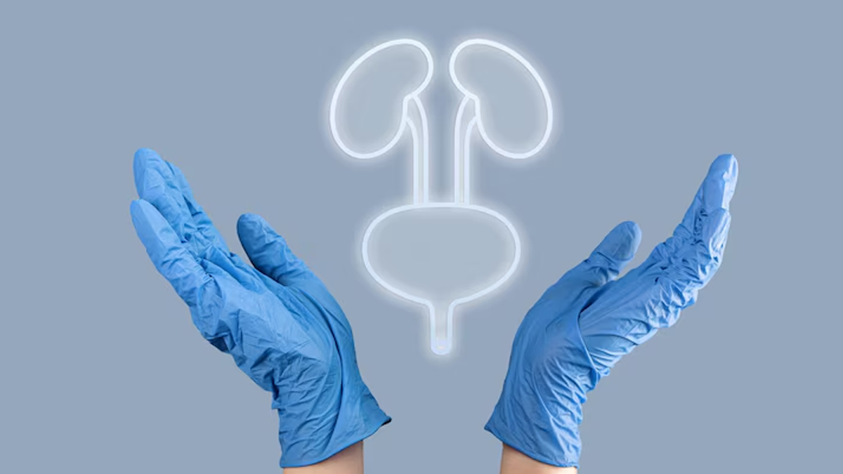 is uti sexually transmitted infection 1 (1)