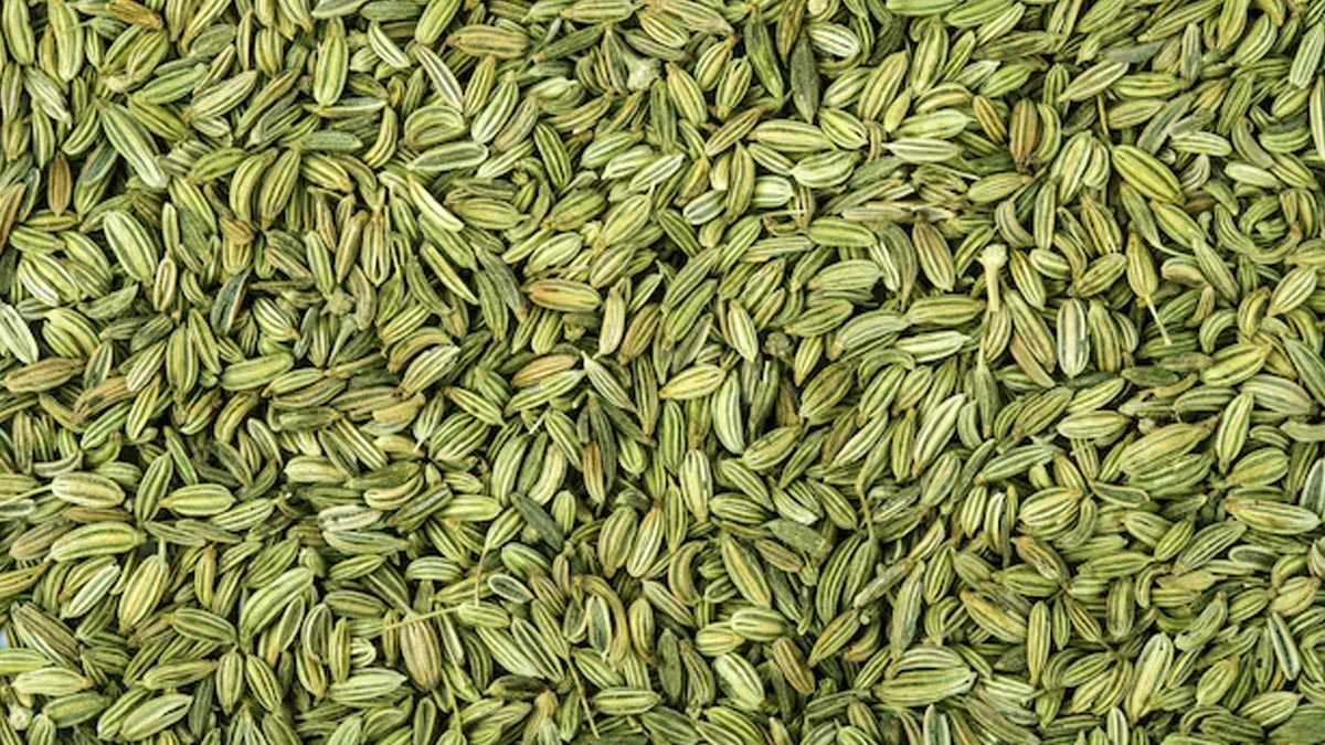 Which seeds increase breast milk